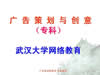 广告策划创意学视频教程 (第二版)18讲 武汉大学